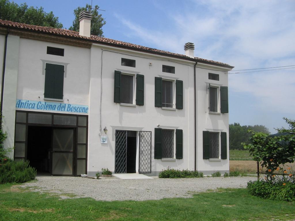 Agriturismo Antica Golena Гуасталла Екстер'єр фото